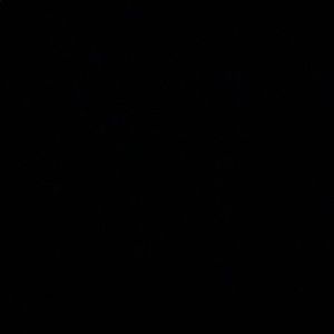 Meet your Posher, Norma